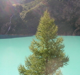Valpelline-Baum